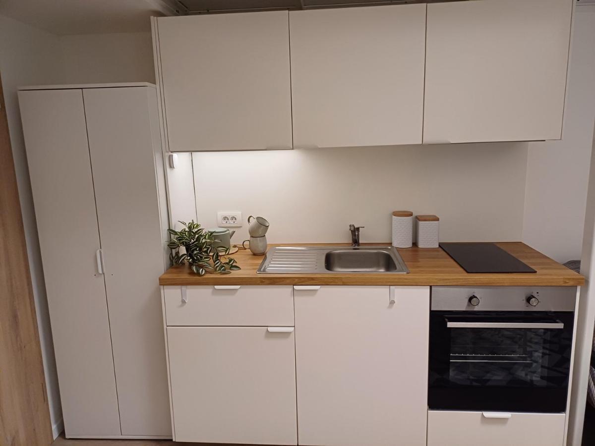 Apartment Afrodita Lublana Zewnętrze zdjęcie